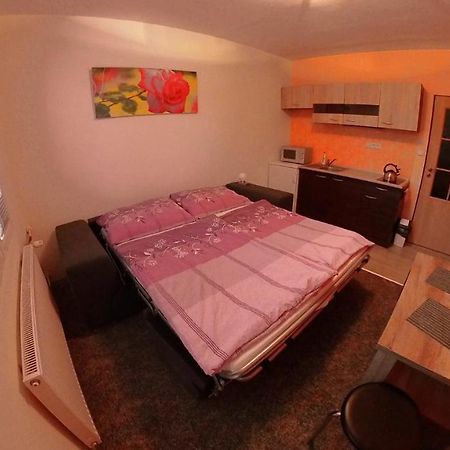 Garsonka Hlinik Apartment Třeboň Exterior foto