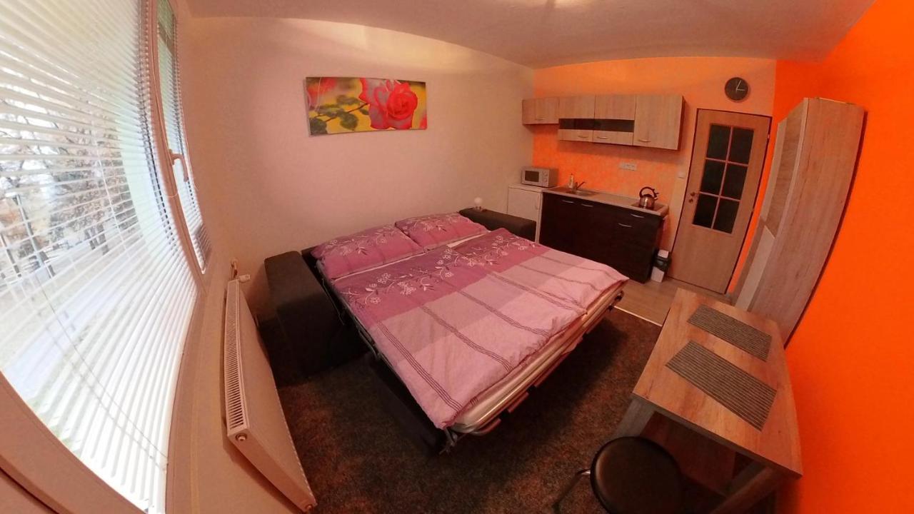 Garsonka Hlinik Apartment Třeboň Exterior foto