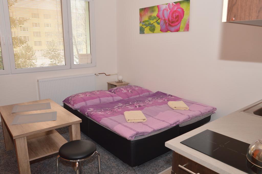 Garsonka Hlinik Apartment Třeboň Exterior foto
